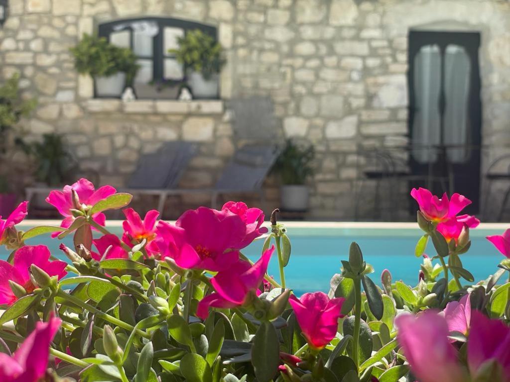 Maison D'Hotes Payan Champier Saint-Paul-Trois-Chateaux Exterior photo